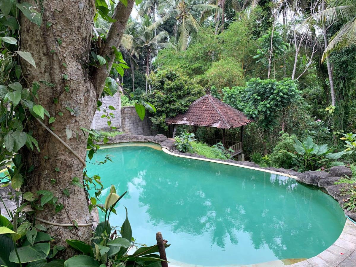 Wonder-Land Villa Ubud Exterior foto