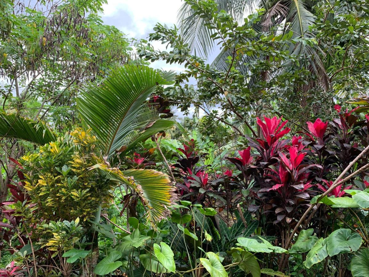 Wonder-Land Villa Ubud Exterior foto
